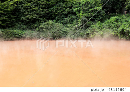 血の池地獄:別府地獄めぐり(大分県) 血の池地獄:別府地獄めぐり(大分県) 43115694