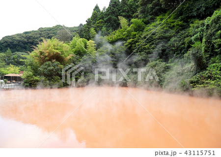 血の池地獄:別府地獄めぐり(大分県) 血の池地獄:別府地獄めぐり(大分県) 43115751
