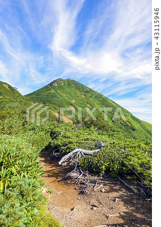 夏の燧ケ岳(縦) 夏の燧ケ岳(縦) 43115946