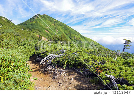 夏の燧ケ岳 43115947