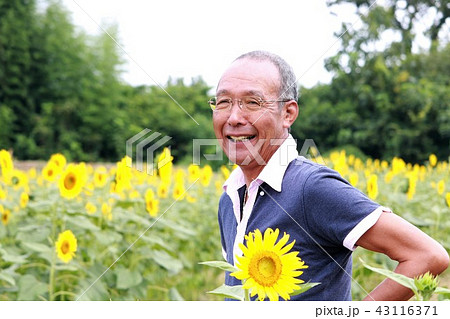 泣き笑いのシニア 泣き笑いのシニア 43116371