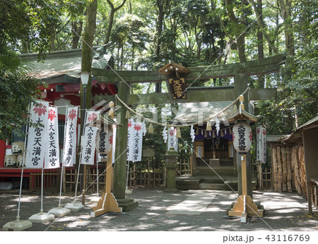 大宮八幡宮の境内社である大宮天満宮（東京都杉並区） 43116769