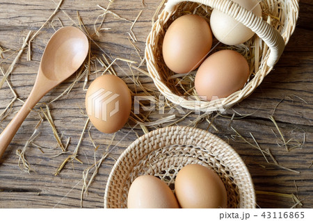 egg egg 43116865