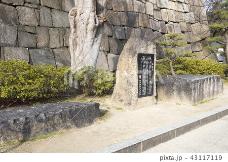 大阪城公園の残念石（大阪市中央区） 43117119