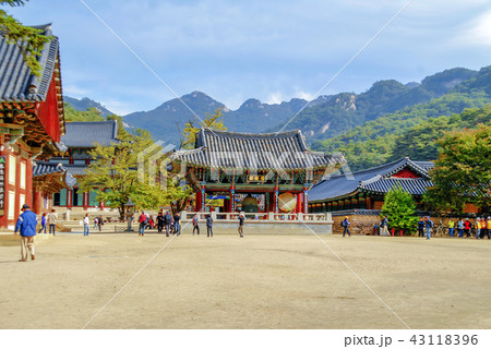 忠清北道 韓国 屋外 43118396