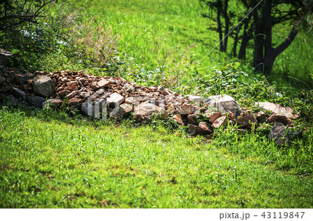 全羅南道 韓国 屋外 43119847