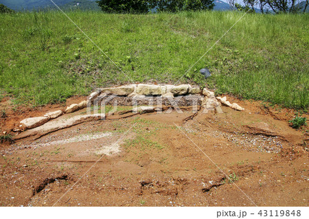 全羅南道 韓国 屋外 43119848