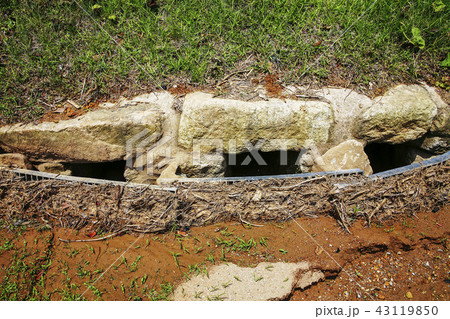 全羅南道 韓国 屋外 43119850