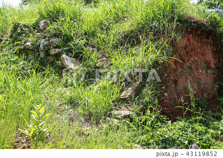 全羅南道 韓国 屋外 43119852