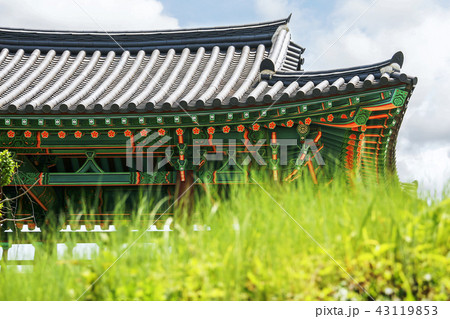 全羅南道 韓国 屋外 43119853