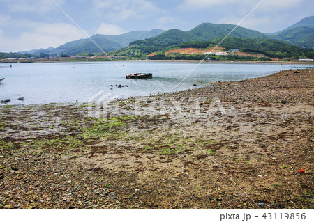 全羅南道 韓国 屋外 43119856