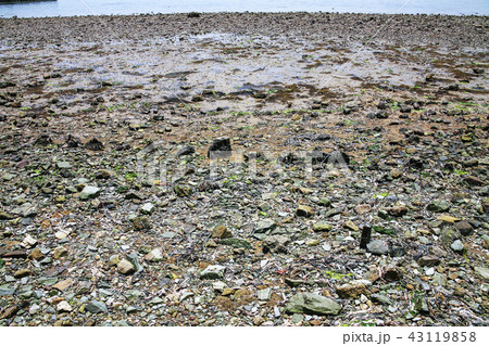 全羅南道 韓国 屋外 43119858