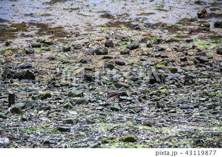 全羅南道 韓国 屋外 43119877