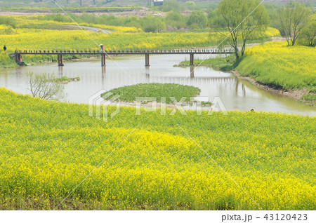 全羅南道 韓国 屋外 43120423