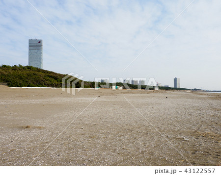 幕張海浜公園 43122557