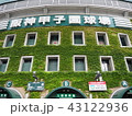 阪神甲子園球場 43122936