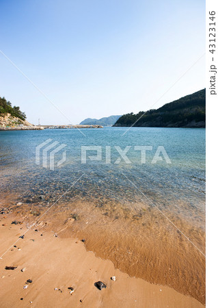 無スルモク 海 島 43123146