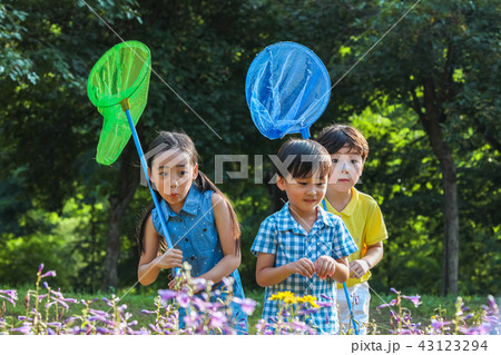 子供 捕虫網 三人 43123294