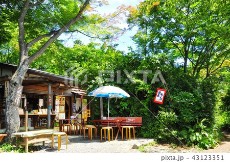 高尾山もみじ台の休憩食事処 43123351