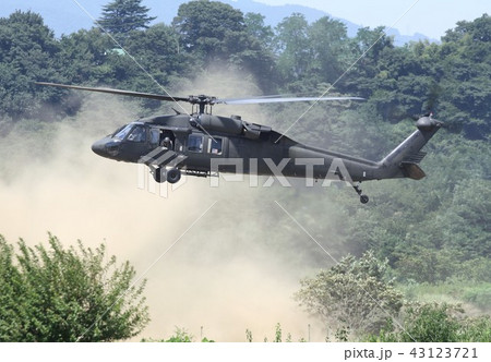 砂煙を上げ山林でホバリングする災害派遣でも活躍する在日米陸軍のUH-60Aブラックホーク輸送ヘリ 43123721