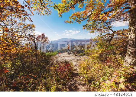 Man at the edge of a cliff 43124018