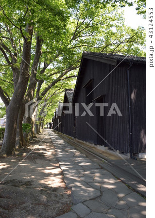 山居倉庫(山形県酒田市) 山居倉庫(山形県酒田市) 43124553