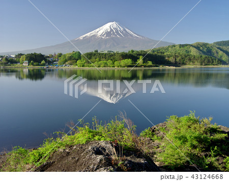 新緑の河口湖 新緑の河口湖 43124668