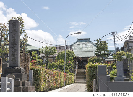 谷中にある妙円寺の本堂と参道（東京都台東区） 43124828