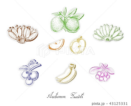 Set of Autumn Fruits with Paper Cut Art 43125331
