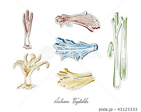 Set of Autumn Vegetables with Paper Cut Art 43125333