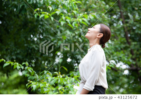 若い女性 ビジネスウーマン 韓国人 43125672