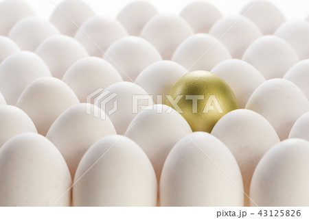 金の卵と普通の卵 金の卵と普通の卵 43125826