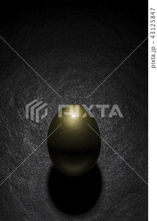 金の卵 金の卵 43125847