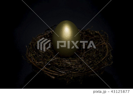 金の卵 43125877