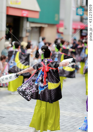 よさこい よさこい 43125909