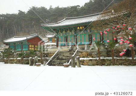 蔓延社 雪景色 風景 43126072