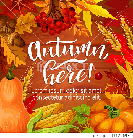 Autumn season harvest, vector holiday poster 43126693