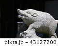 猪 43127200