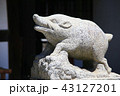 猪 43127201