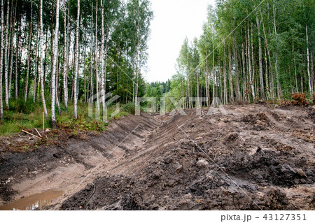 system of drainage ditch in the woods for water colleting system of drainage ditch in the woods for water colleting 43127351