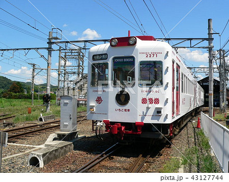 和歌山電鉄イチゴ電車 和歌山電鉄イチゴ電車 43127744