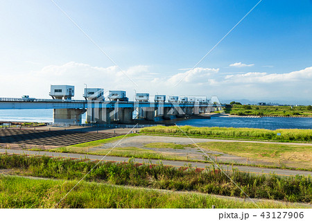 利根大堰 利根川 埼玉県行田市側から 利根大堰 利根川 埼玉県行田市側から 43127906