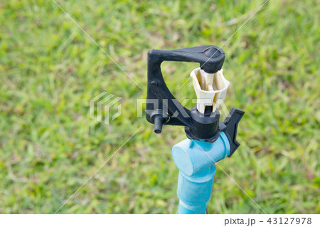 sprinkler of automatic watering in garden sprinkler of automatic watering in garden 43127978