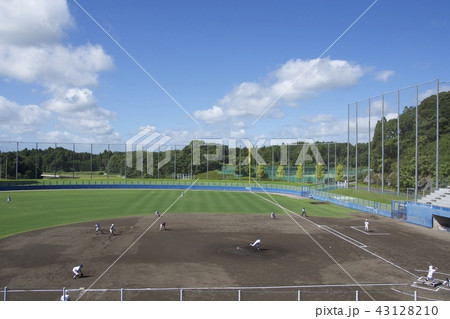 高校野球 スタンド 最上段 43128210