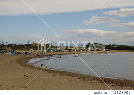 三国サンセットビーチでの海水浴風景 三国サンセットビーチでの海水浴風景 43128905