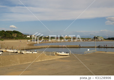 夏の三国サンセットビーチ全景 夏の三国サンセットビーチ全景 43128906