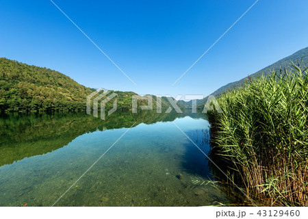 Lake of Levico - Trentino Alto Adige - Italy Lake of Levico - Trentino Alto Adige - Italy 43129460