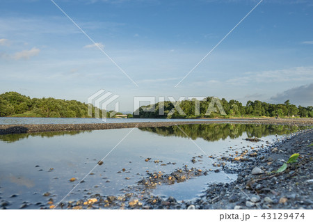 琵琶湖の砂州 43129474
