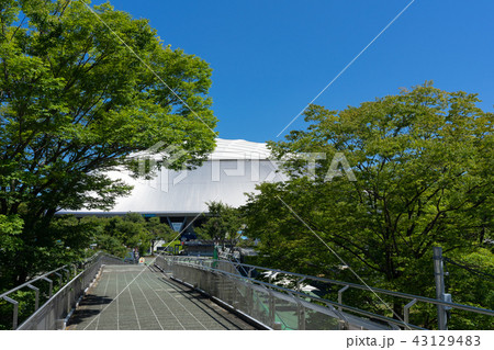 西武球場 43129483