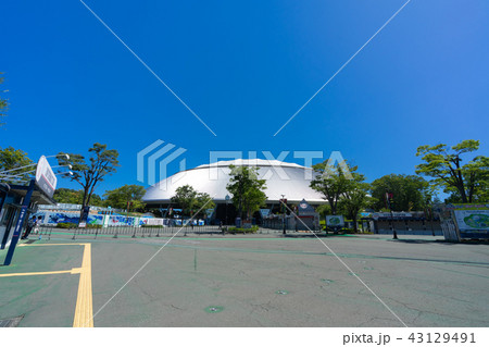 西武球場 43129491